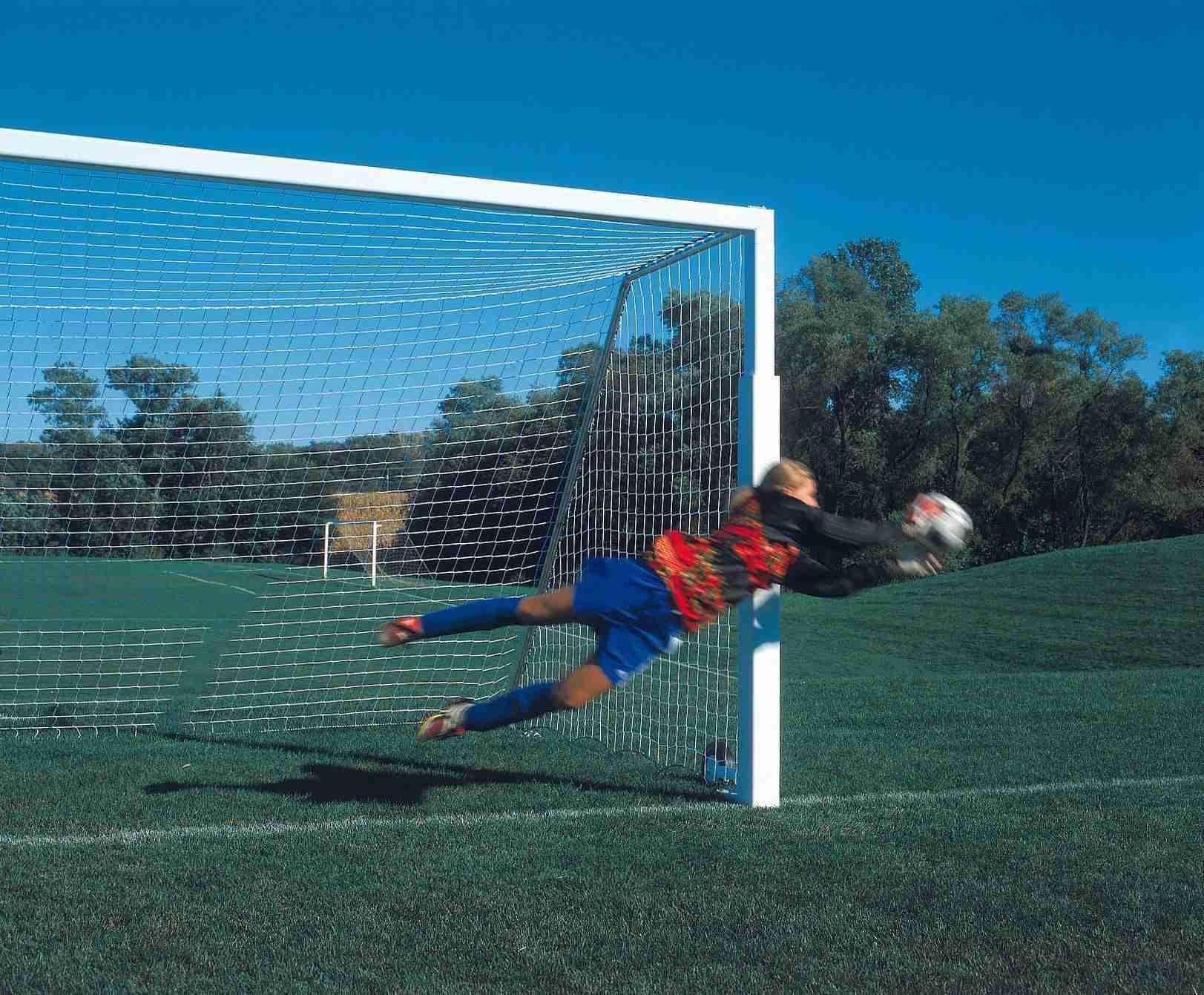 Centerline Elite Aluminum Double Court System - Bison, Inc.